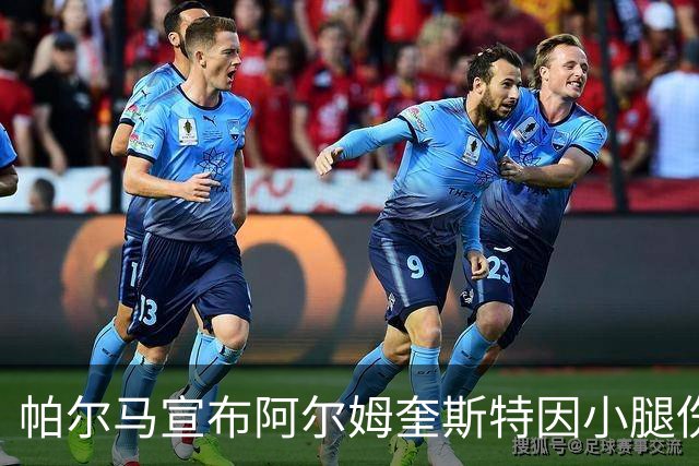 帕尔马宣布阿尔姆奎斯特因小腿伤缺席与国米的较量